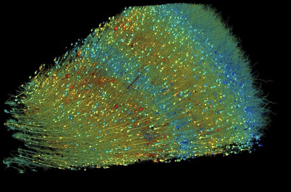 mann-3-26-single-cubic-img