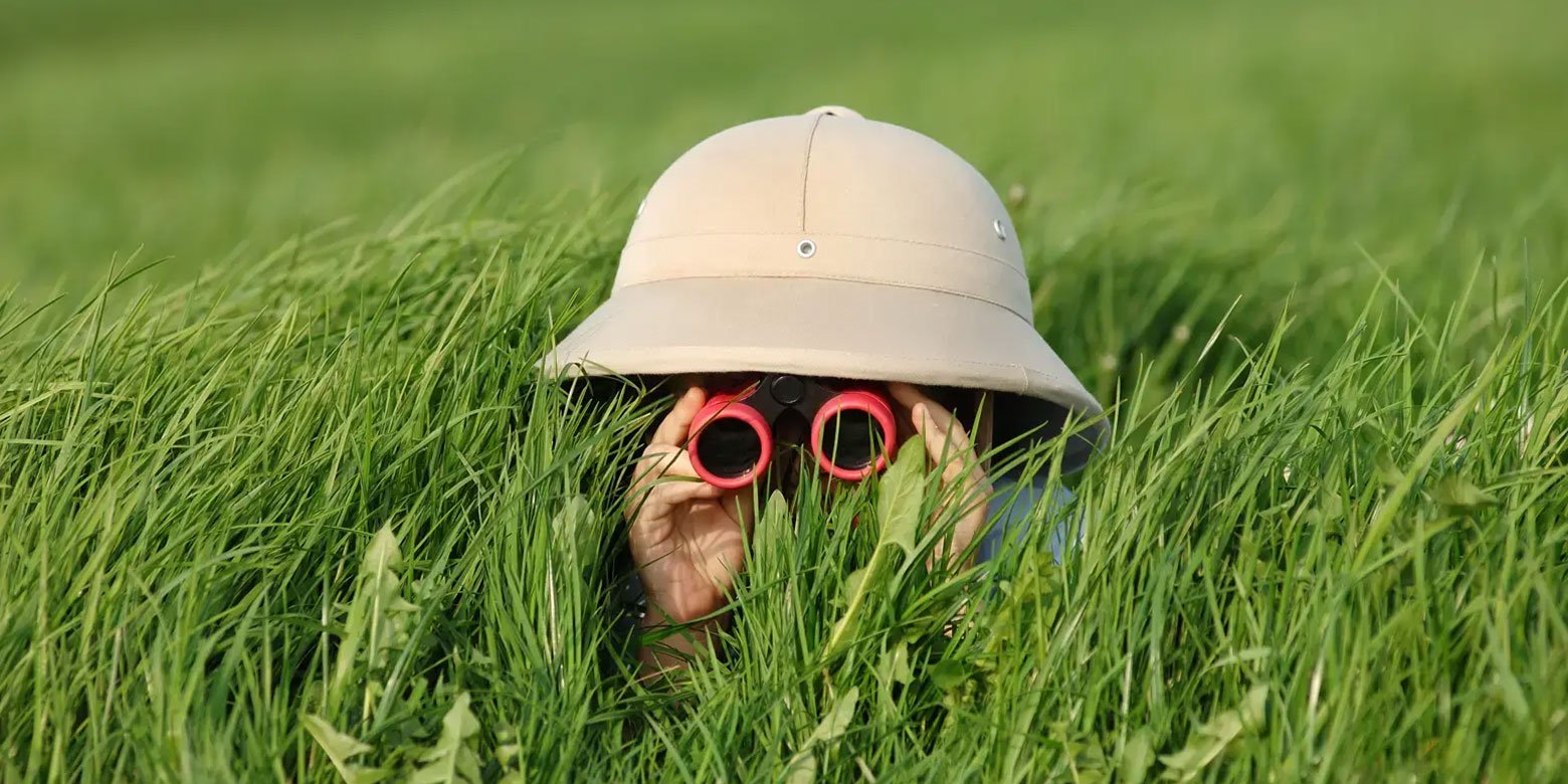 Person hiding in tall grass with binoculars 