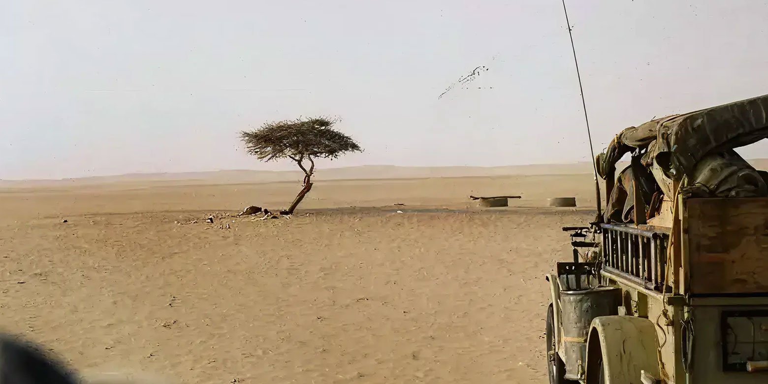 Military vehicle in the desert with a single tree