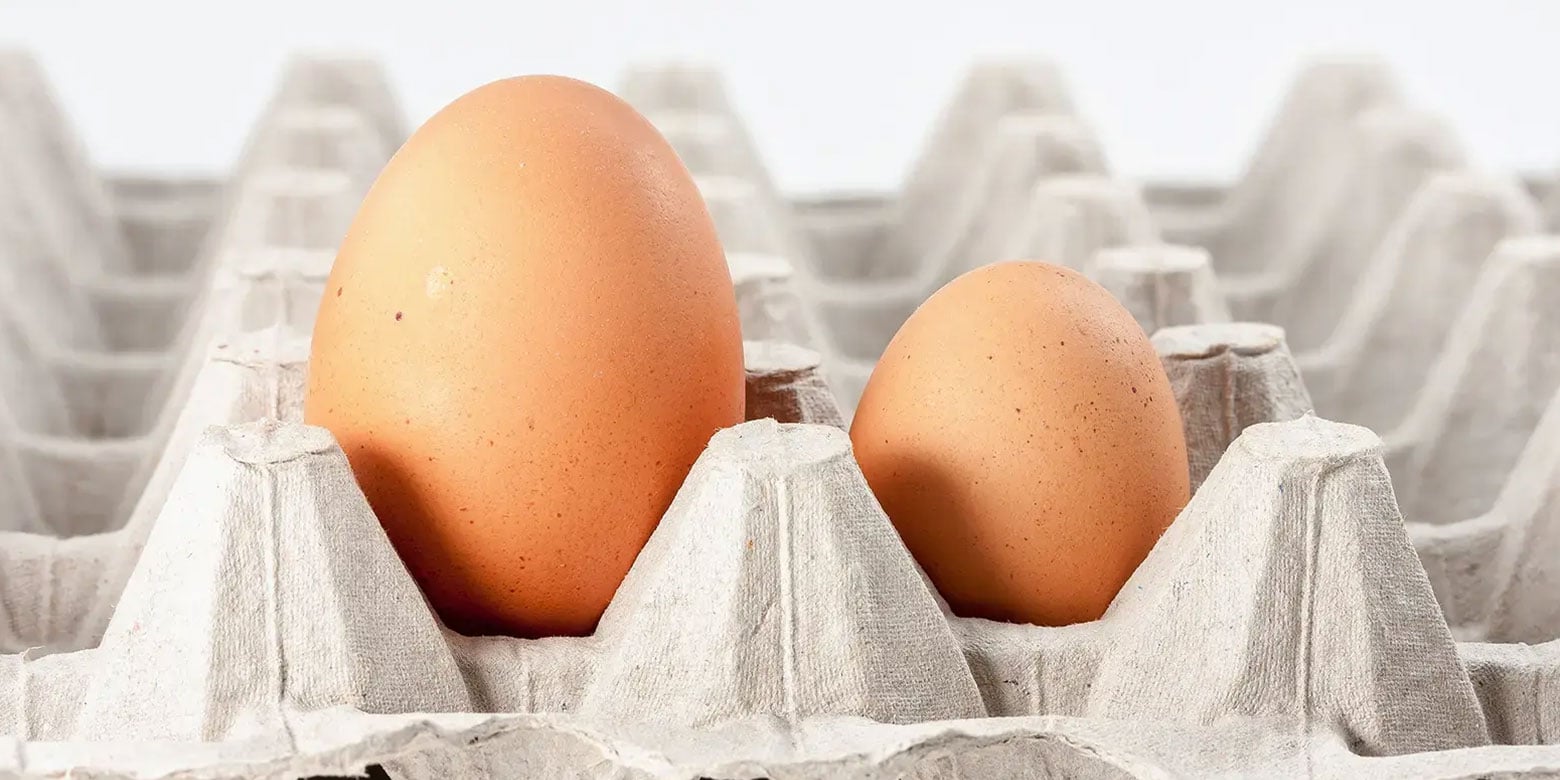 One egg much larger than the other in a carton