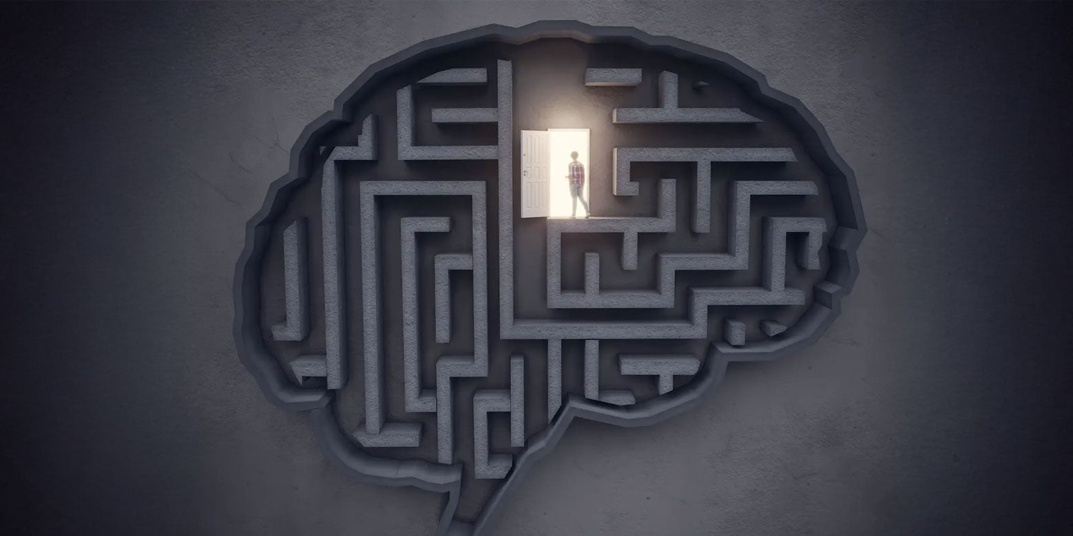 A maze in the shape of a brain