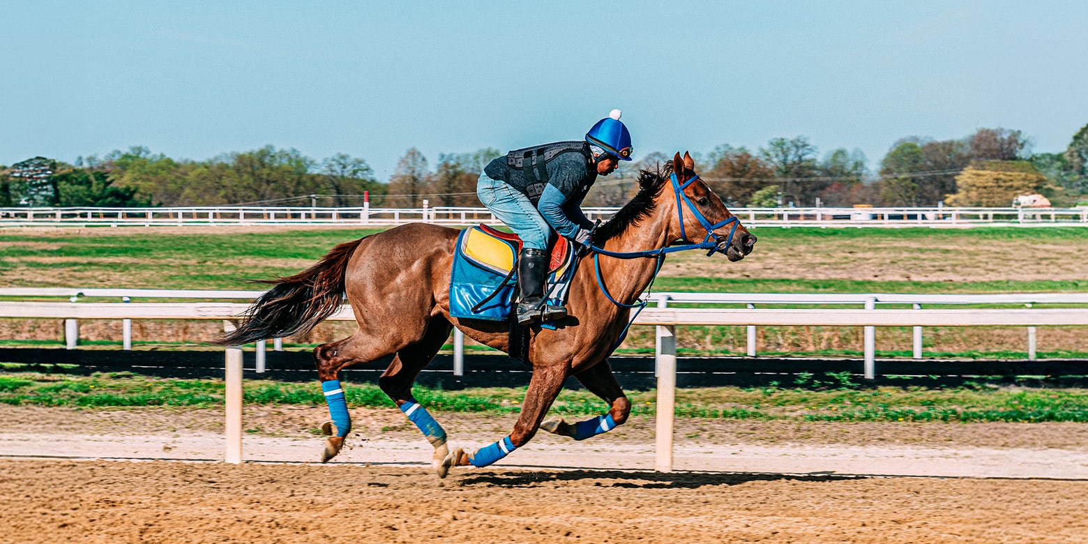 Jockey racing on a horse