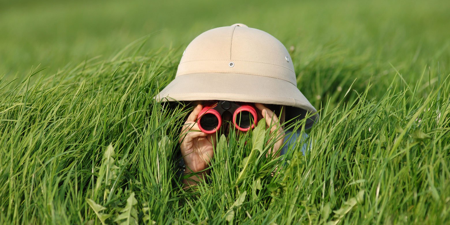 Person hiding in tall grass with binoculars