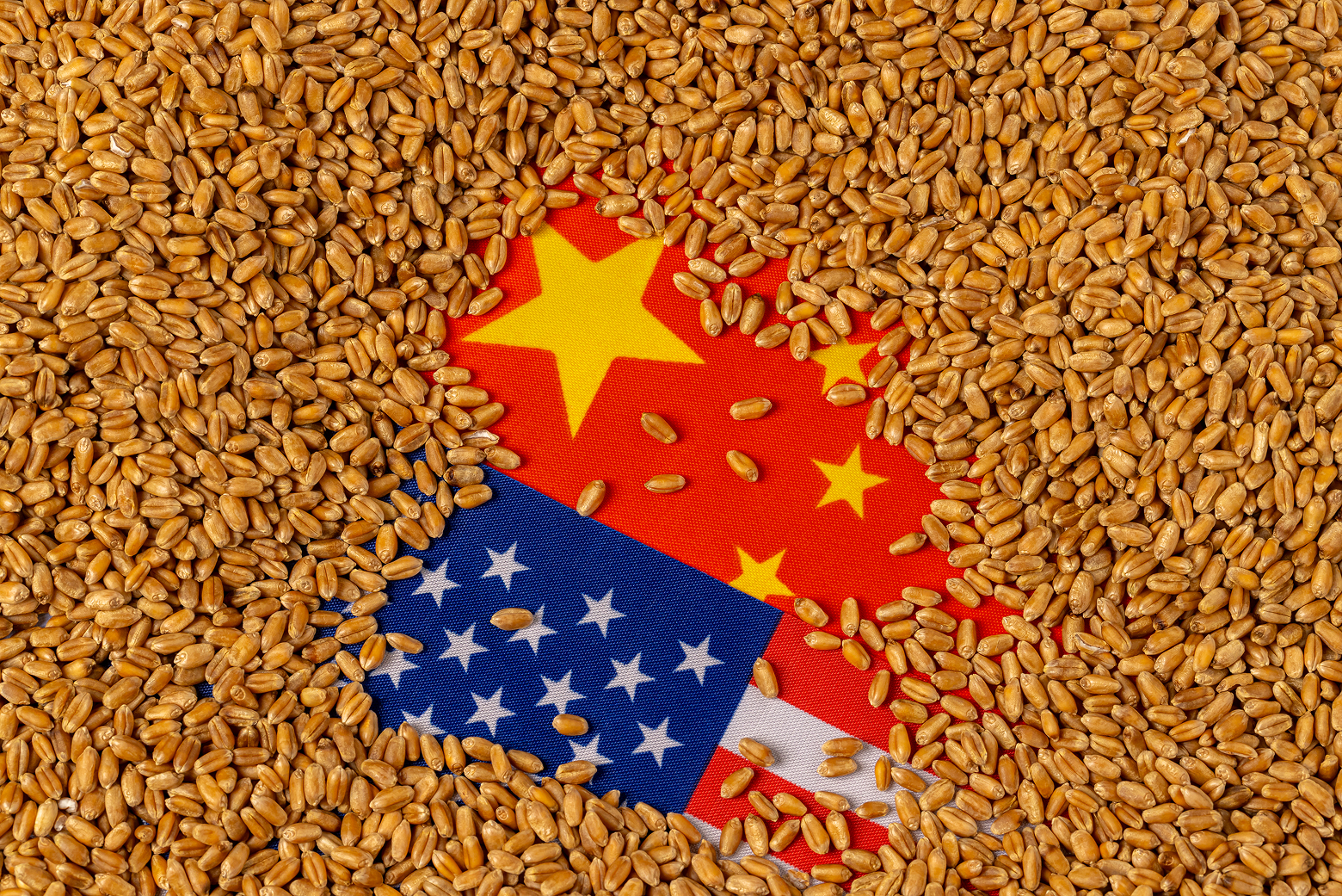 The Chinese and US flags peek out from a spill of wheat.
