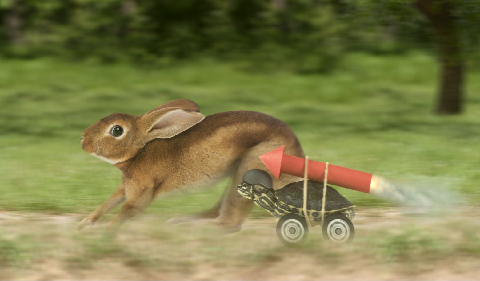 A hare tries to outrace a tortoise with a rocket strapped to its back and wheels for feet